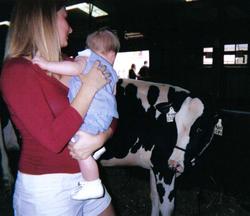 State Fair cows.jpg